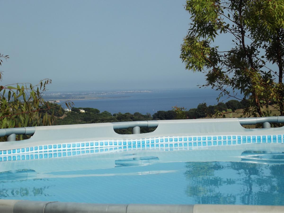 Bed & Breakfast La Volpe E L'Uva Santa Marinella Exterior photo
